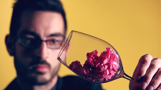 Clear Choice by Thinking Paradox - Video Download