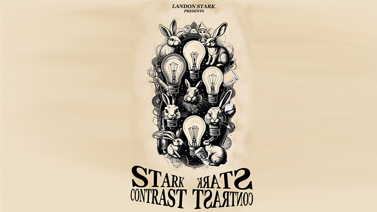 The Stark Contrast by Landon Stark - ebook