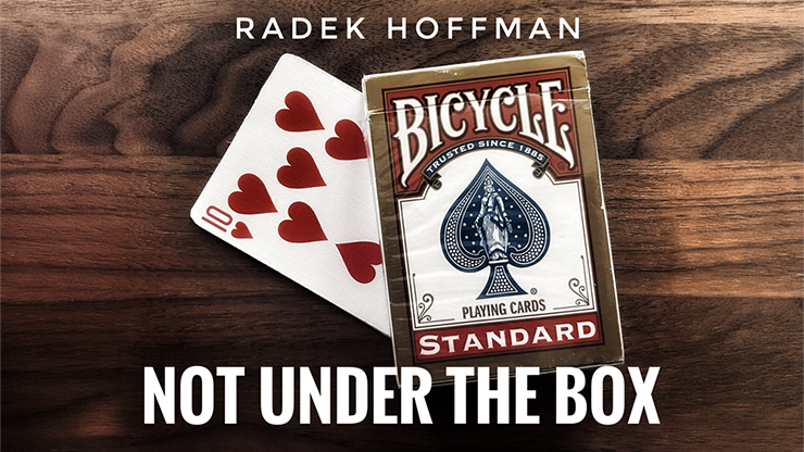 Not Under the Box by Radek Hoffman - Video Download