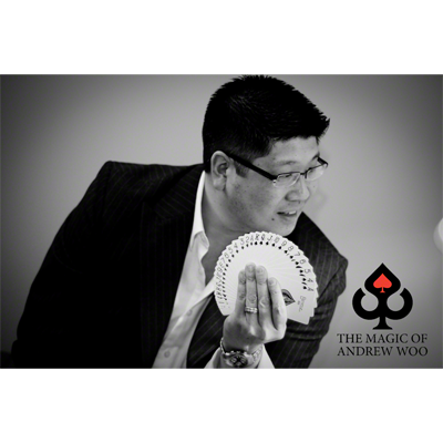 Illuminating Ideas (English) by Andrew Woo - ebook