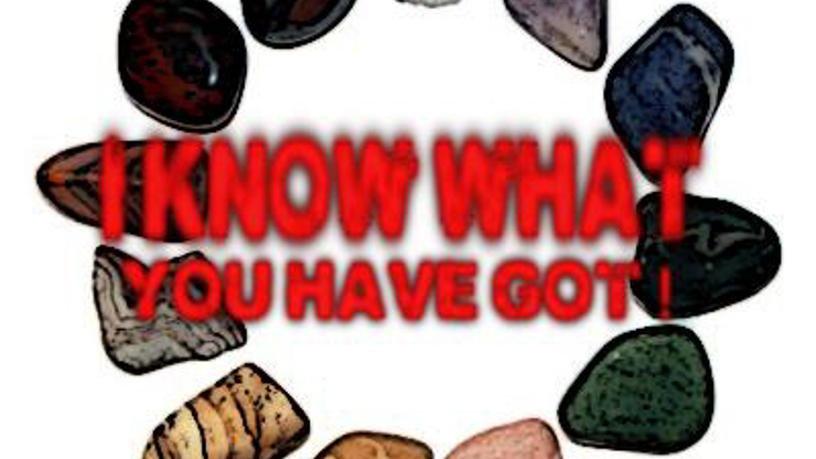 I know what you have got by Dan Alex - ebook