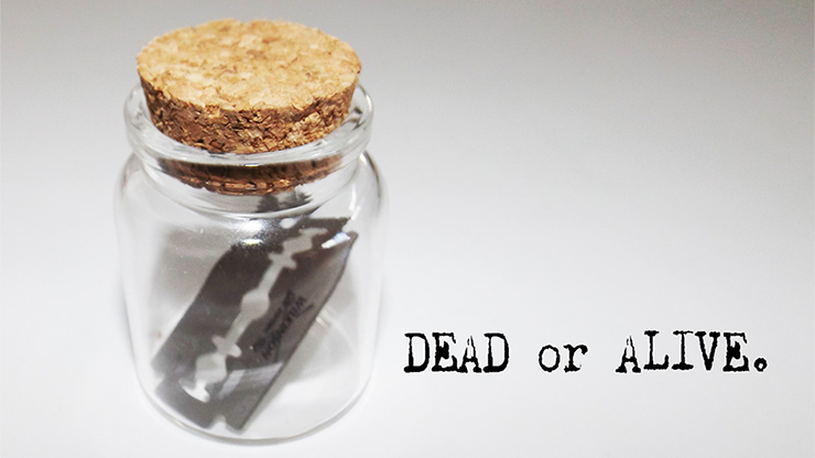 Dead or Alive by Sandro Loporcaro - Video Download