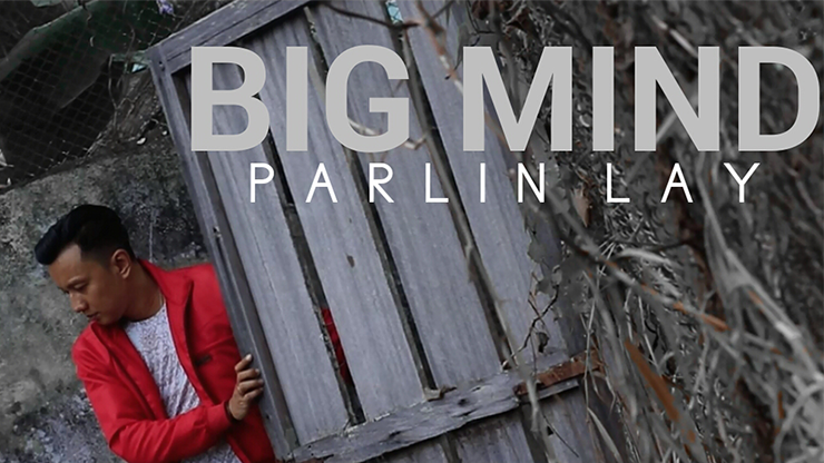 Big Mind by Parlin Lay - Video Download