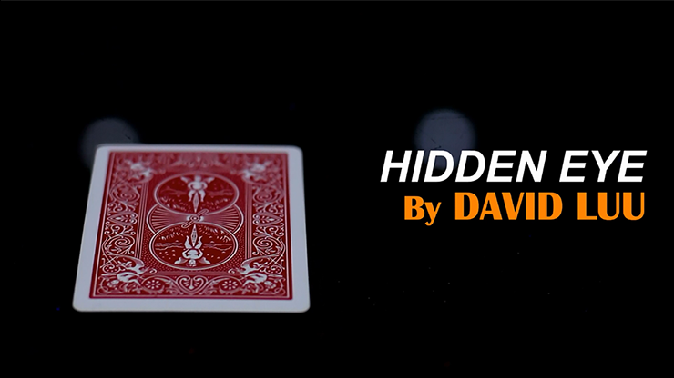 Hidden Eye by David Luu - Video Download