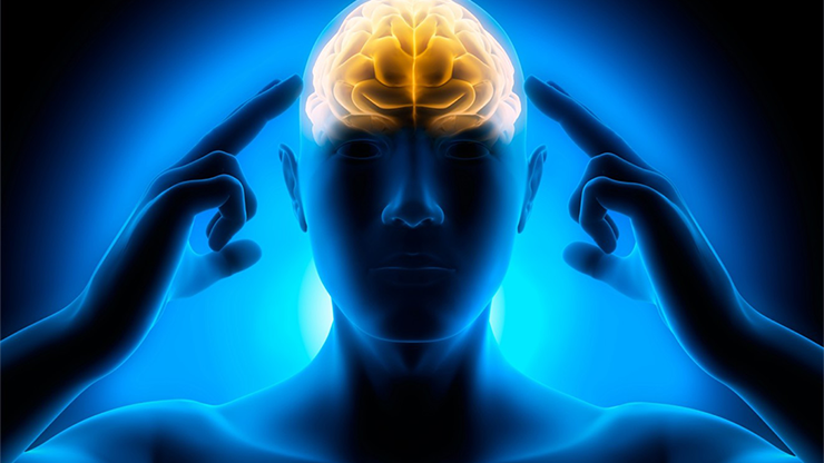 ROYLE'S REAL WORLD CENTER TEAR REVEAL by Jonathan Royle - Mixed Media Download