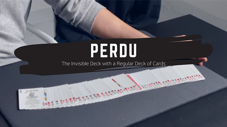 Perdu by Ju - Video Download