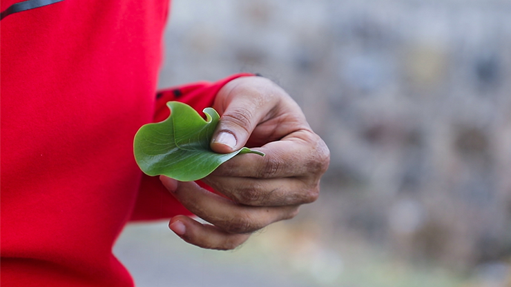 AnyMate by Sumit Chhajer - Video Download