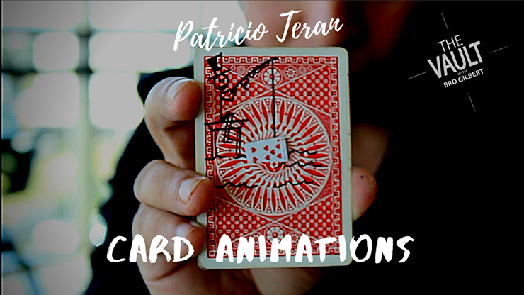 The Vault - Card Animations by Patricio Teran - Video Download
