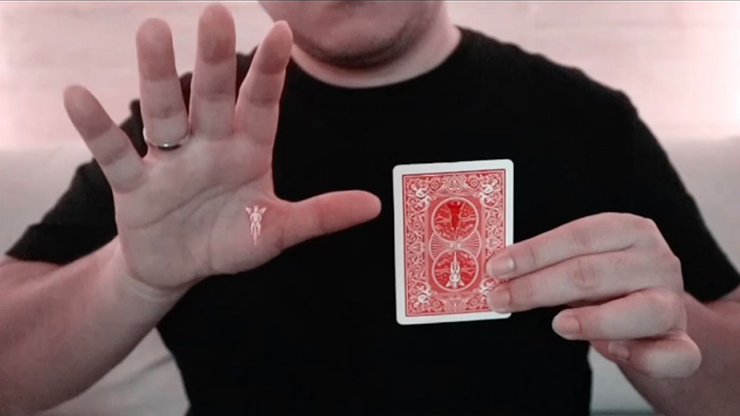 Flying Angel by Robby Constantine - Video Download