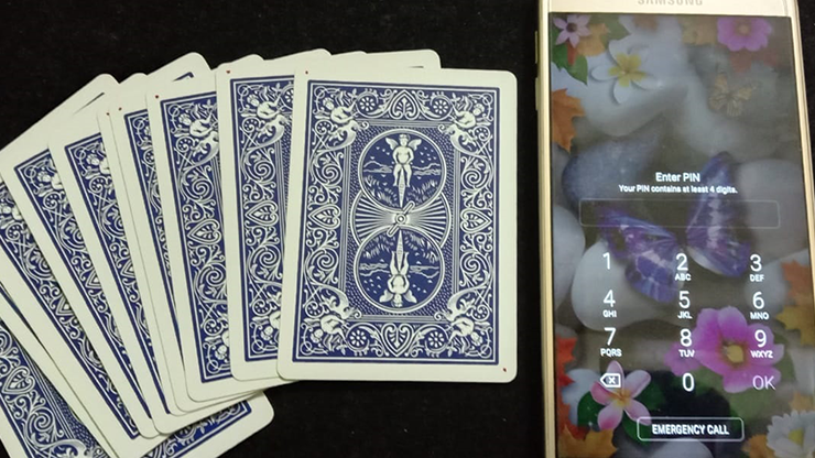 P.I.N. by Dibya Guha - Video Download