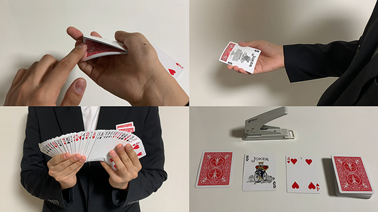 Leon's POP by LEONTHEPARK - Video Download