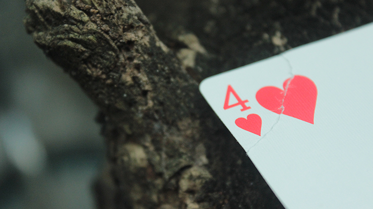 Sinistear by Arnel Renegado - Video Download