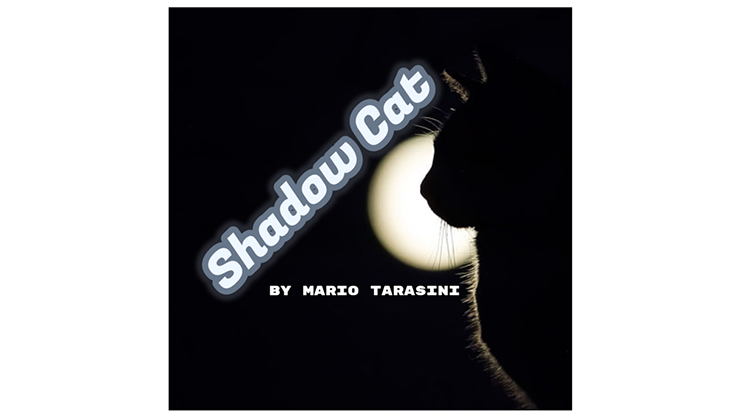 Shadow Cat by Mario Tarasini - Video Download