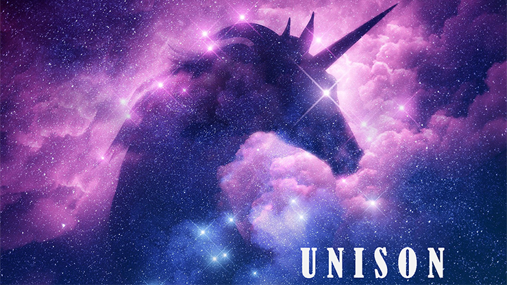 UNISON by Dibya Guha - ebook