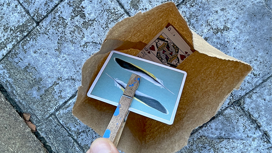 Insta Bag by Rian Lehman - Video Download