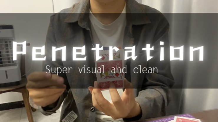 Penetration by Dingding - Video Download