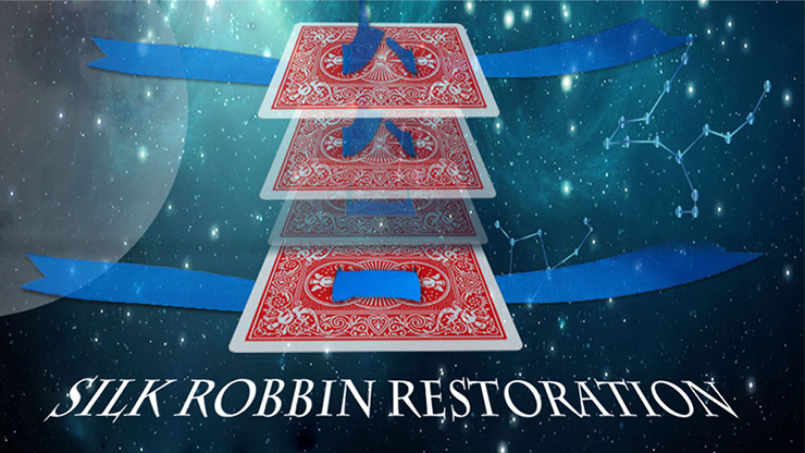 Silk Restoration by Dinging - Video Download