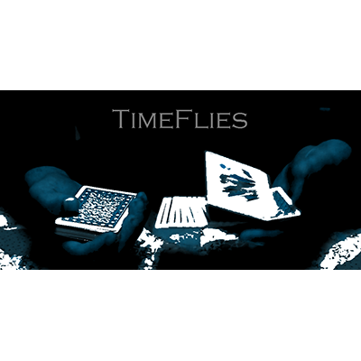 TimeFlies By John Stessel - Video Download