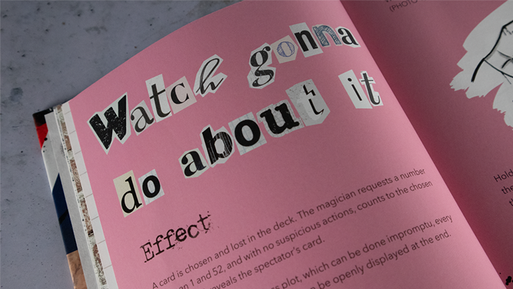 Never Mind the Bollocks by Etienne Pradier