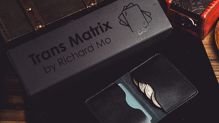 Transparent Matrix (Half Dollar) 2024 by Richard Mo