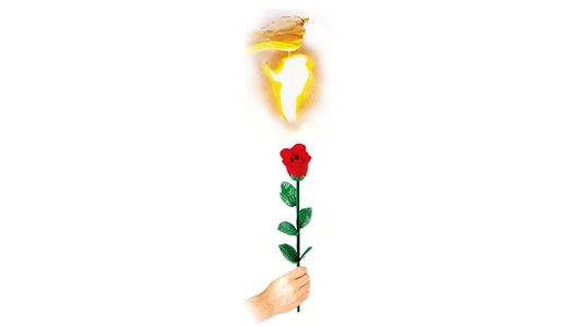 Instant Rose by Vincenzo DiFatta