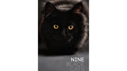 Nine Black Cats by Neema Atri - ebook