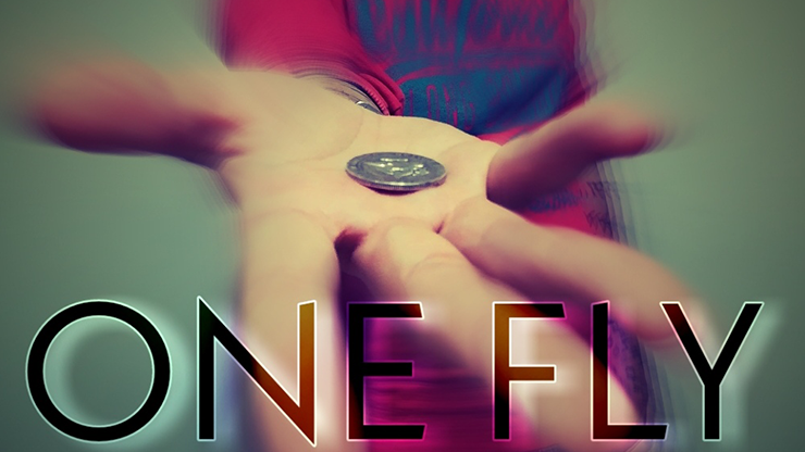 One Fly by Alessandro Criscione - Video Download