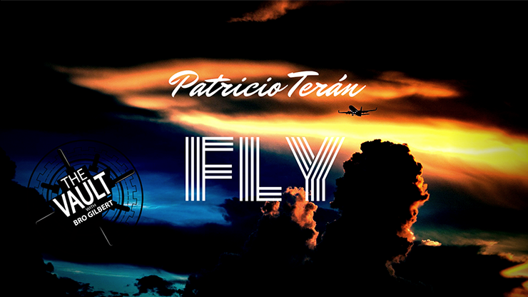 The Vault - Fly by Patricio Teran - Video Download