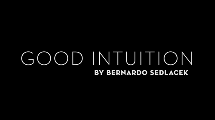 Good Intuition by Bernardo Sedlacek - Video Download