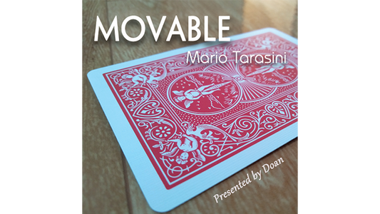 Movable by Mario Tarasini - Video Download