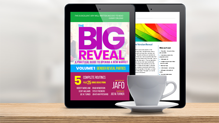 The Big Reveal: A Practical Guide to Opening a New Market Volume 1 - Gender Reveal Parties by Jafo - ebook