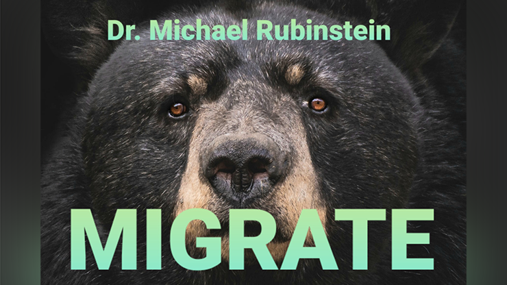 MIGRATE POKER CHIP by Dr. Michael Rubinstein - Trick