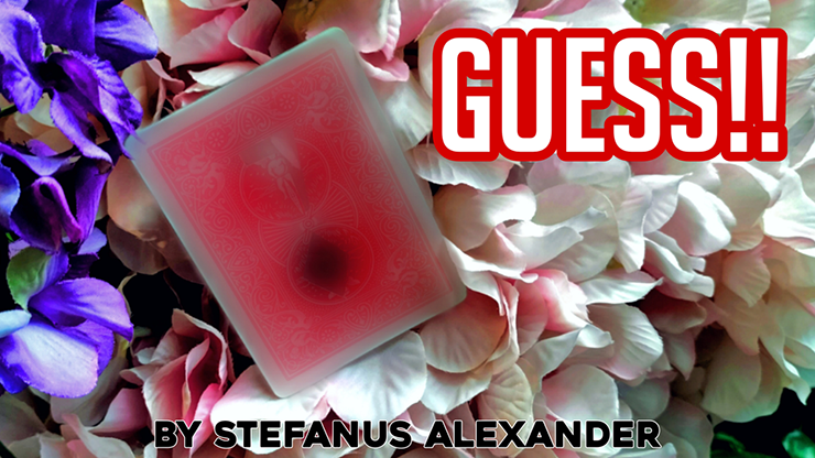 GUESS by Stefanus Alexander - Video Download