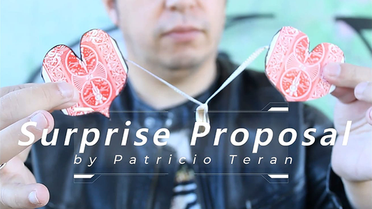 Surprise Proposal by Patricio Teran - Video Download