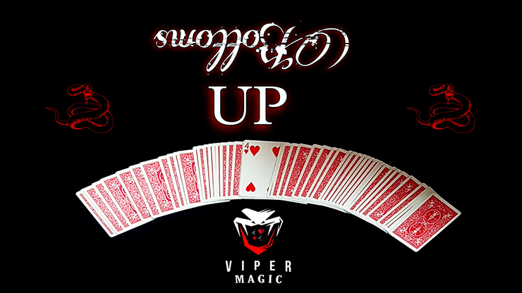 Bottoms UP by Viper Magic - Video Download