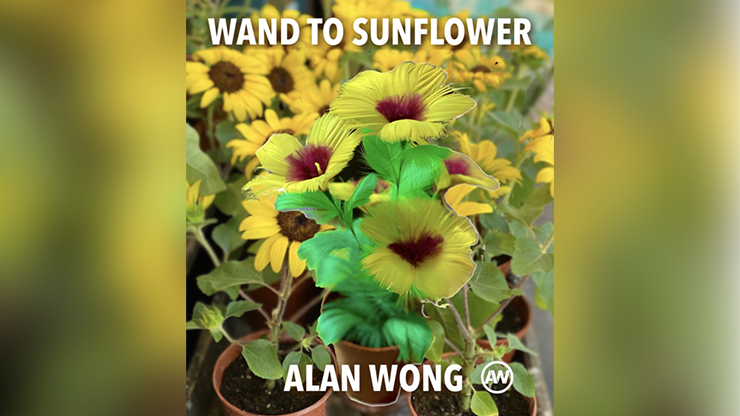 WAND TO SUNFLOWER LARGE by Alan Wong - Trick