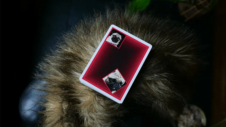 Byte Playing Cards