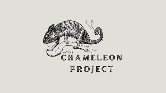 The Chameleon Project by Michael Shaw - Video Download