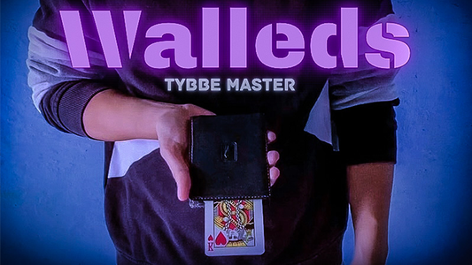 Walleds by Tybbe Master - Video Download