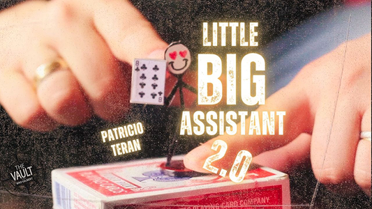 The Vault - Little Big Assistant 2 by Patricio Teran - Video Download