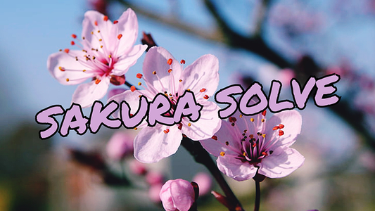 SAKURA SOLVE by Cyril Hubert and JJ Team - Video Download